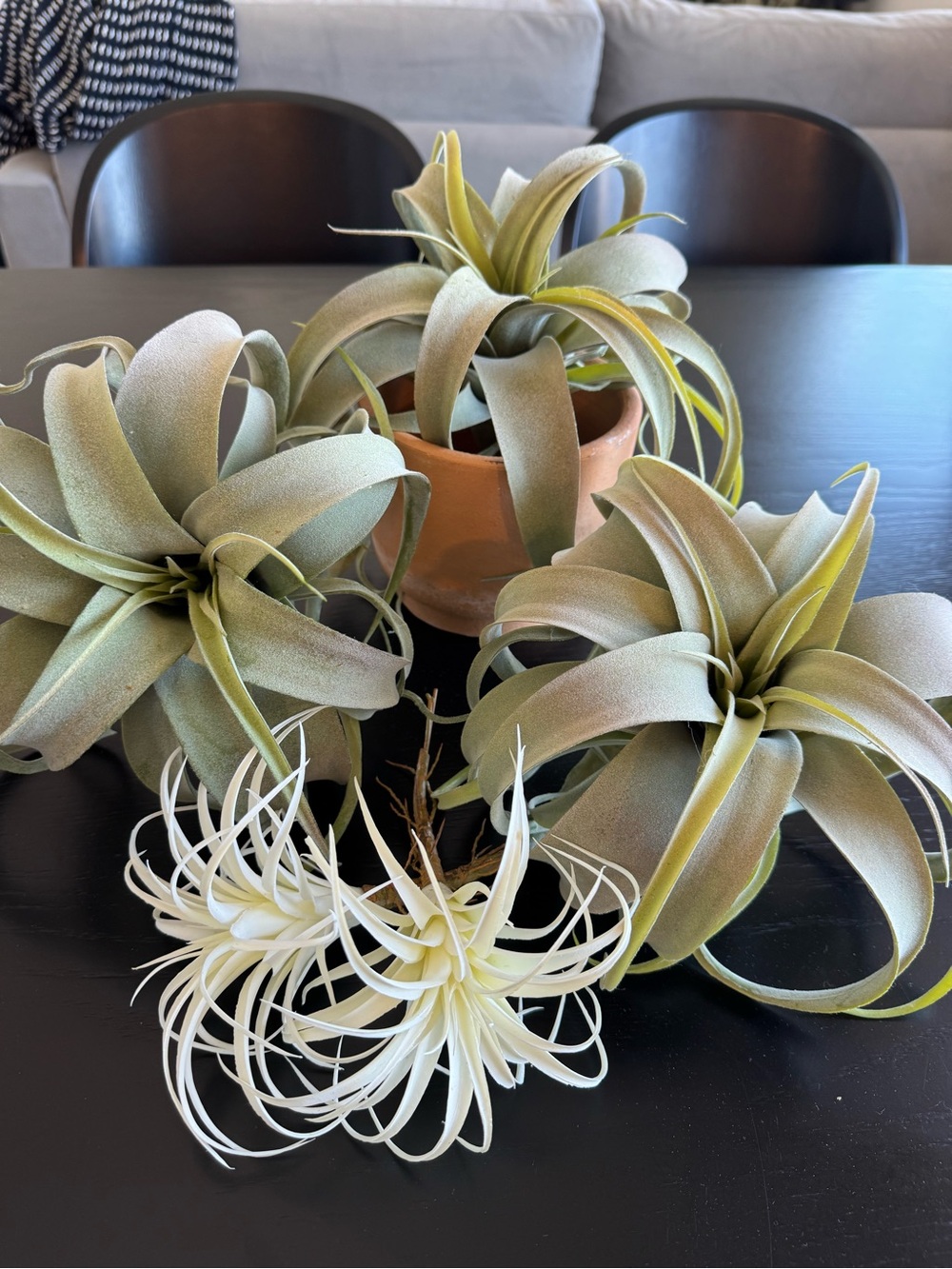Artificial Air Plants. Large & Small *pot not included*